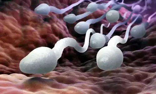 sperm health