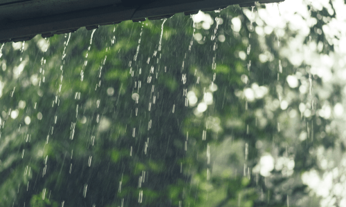 Ayurvedic tips for monsoon